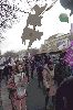 Wir-haben-Agrarindustrie-satt-Demonstration-Berlin-2017-170121-DSC_9643.jpg