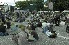 Grossdemonstration-Grenzenlose-Solidaritaet-statt-G20-Hamburg-2017-170708-170708-DSC_10150.jpg